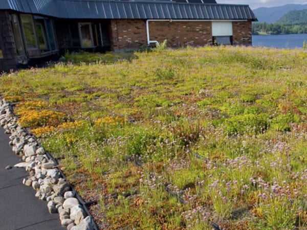 eco-friendly-cta Eco Friendly - Green Roof