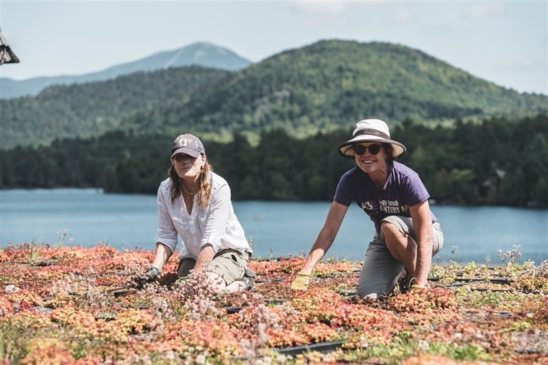 Have you ever seen a green roof before? two people on the Green Roof with mountains in the backdrop