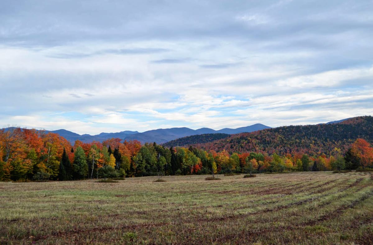 Dog Friendly Spots in Lake Placid Golden Arrow Lakeside Resort