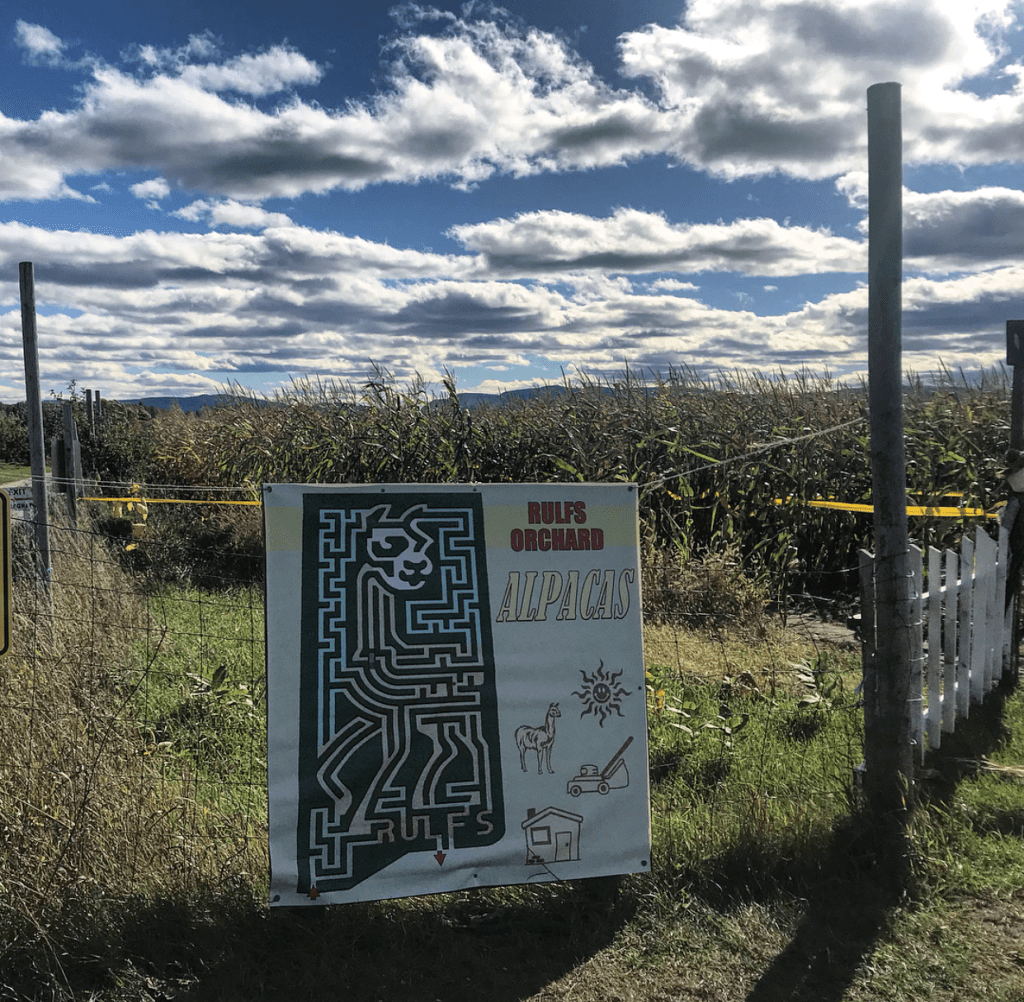 sign of cornmaze at Rulf's Orchard