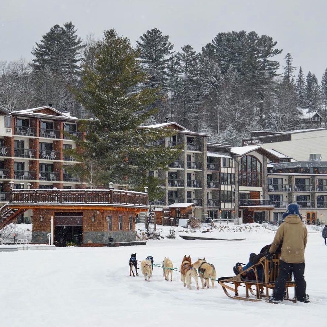 Sled Dogs Dog Sled and dogs going past the Golden Arrow boathouse
