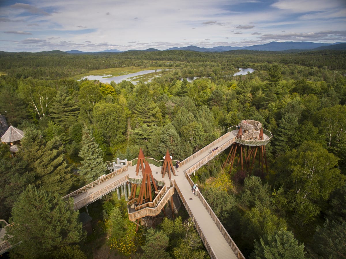 wildcenter wild center birds eye view