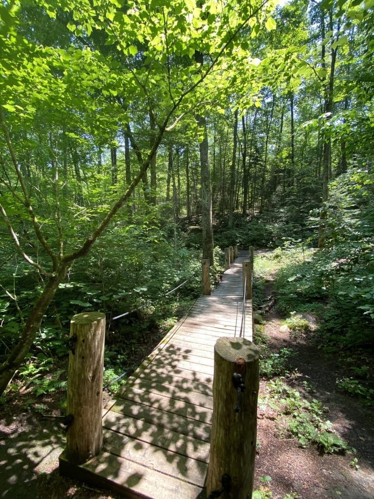 Bridge to nowhere at Henry's Woods