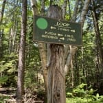 Henry's Woods Signage