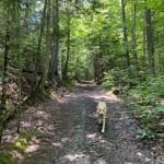 Eden on the trail at Henry's Woods