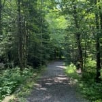Heaven Hill forest trail