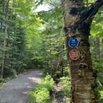 Heaven Hill trail markers
