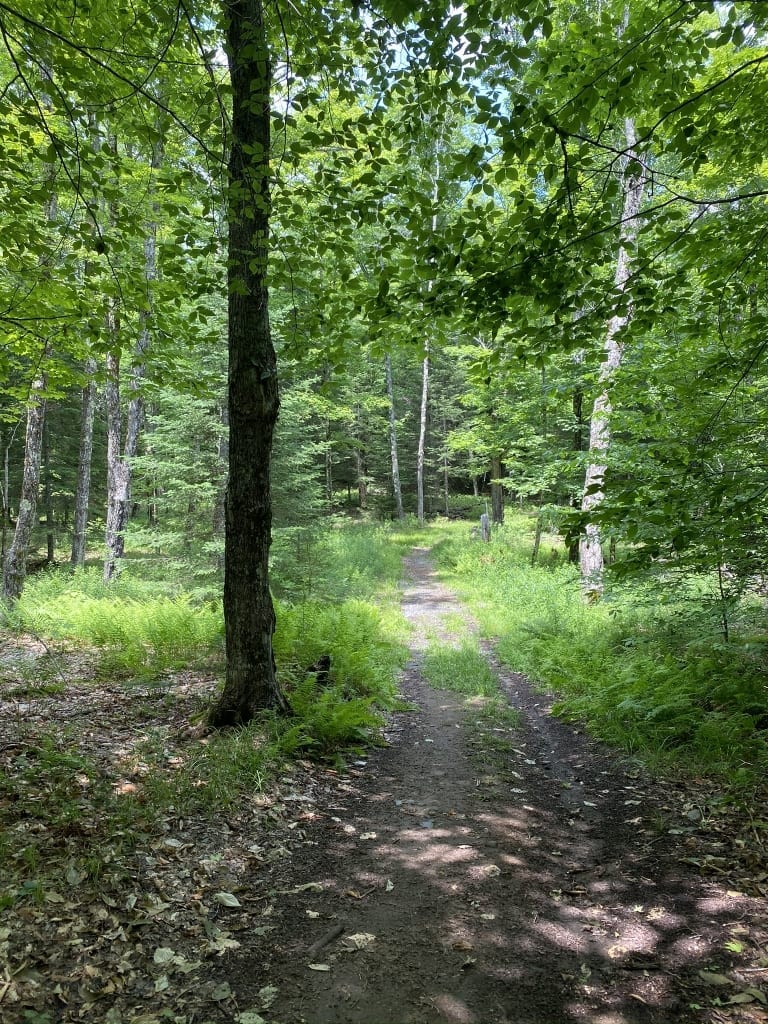 Heaven Hill forest trail