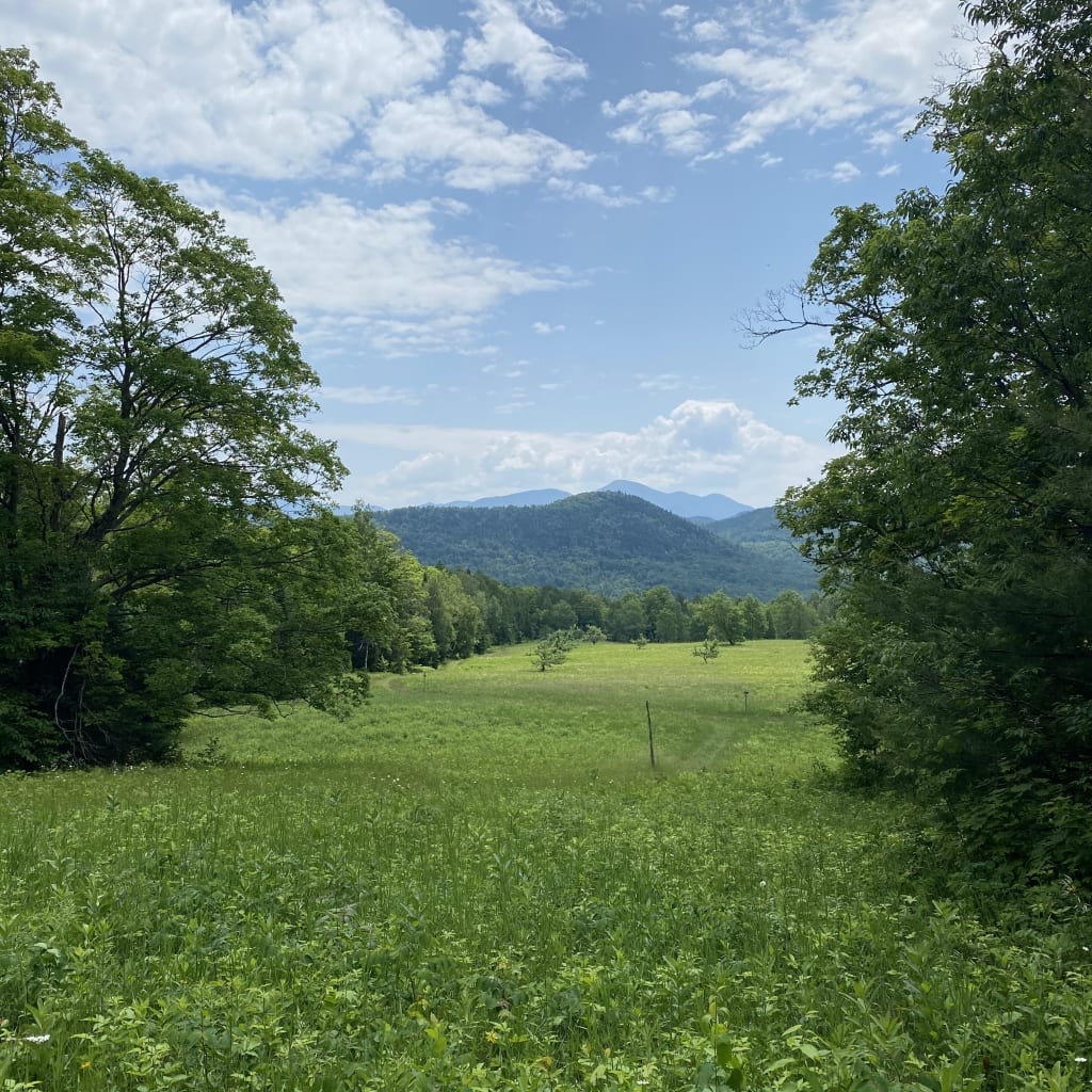 Heaven Hill fields