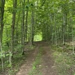 Heaven Hill forest trail