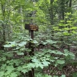 Peninsula Trail Sign