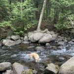 Eden playing in Peninsula Trail creek