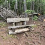 Peninsula Trail Bench