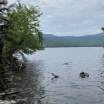 Lake Placid from Peninsula Trail