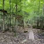 Peninsula Trail