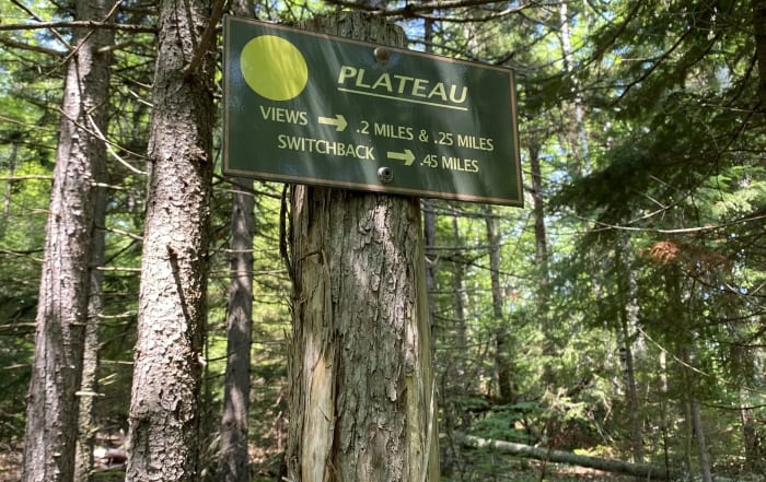 sign at henry's woods