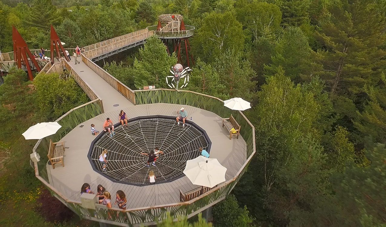 Aerial view of the spider web at the Wild Center