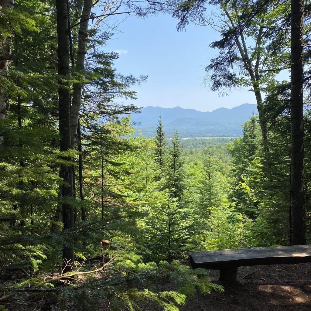 mountain views from henry's woods