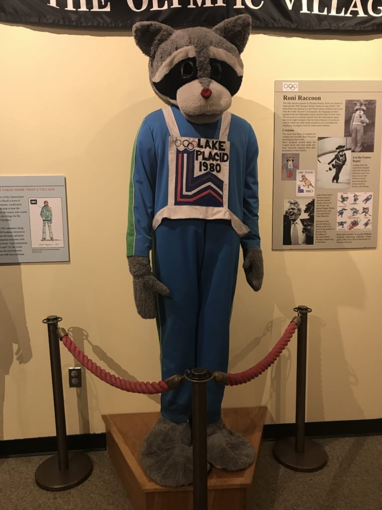 Roni the Raccoon mascot costume
