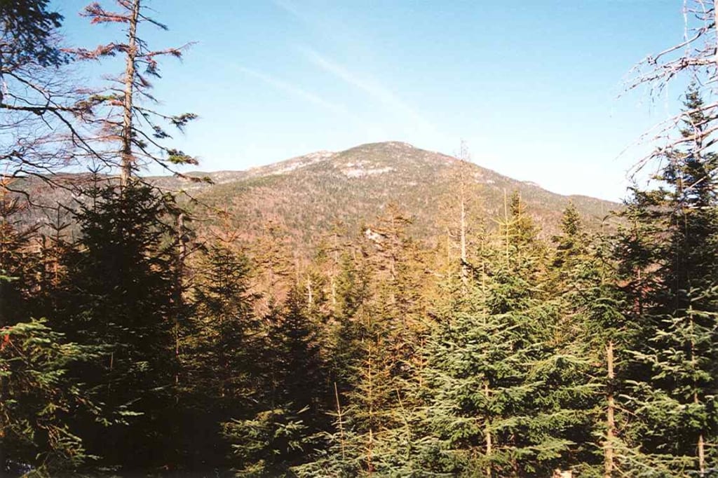 Panther Peak seen from Bradley Pond leanto