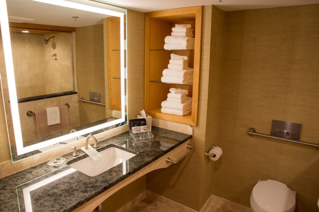skylight suite bathroom