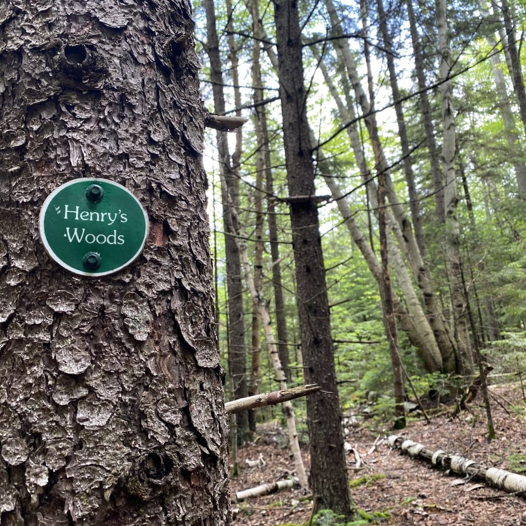henry's woods trail marker