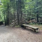 henry's woods trail and bench