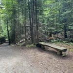henry's woods trail and bench