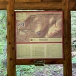 Henry's Woods trail map