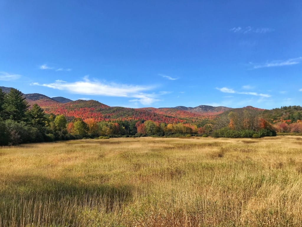Keene lookout view of field in autumn
