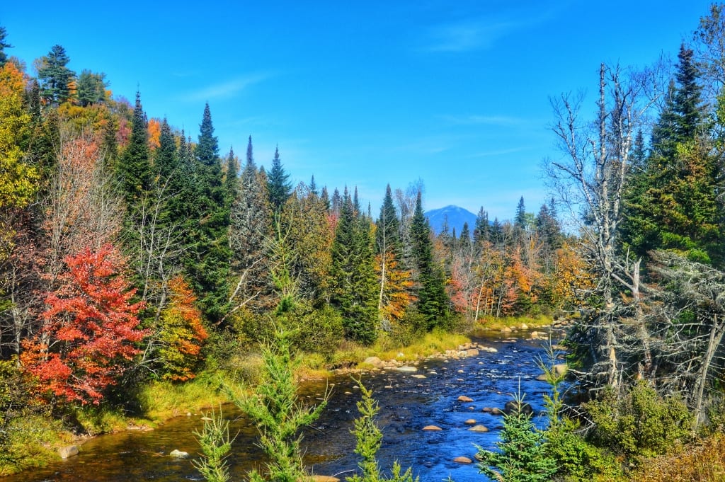River and autumn leaves. Whiteface Mountain in the distance.
