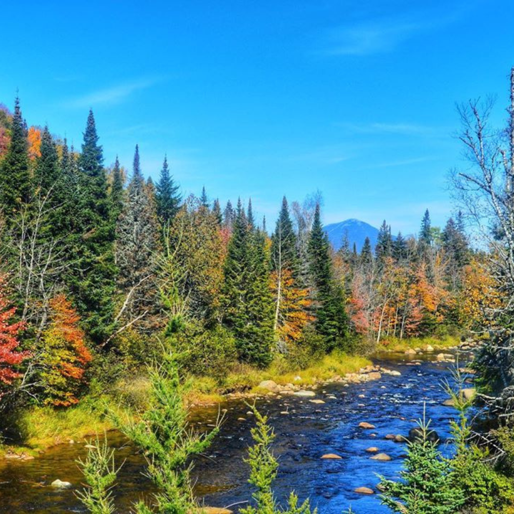fall foliage views of whiteface mountain