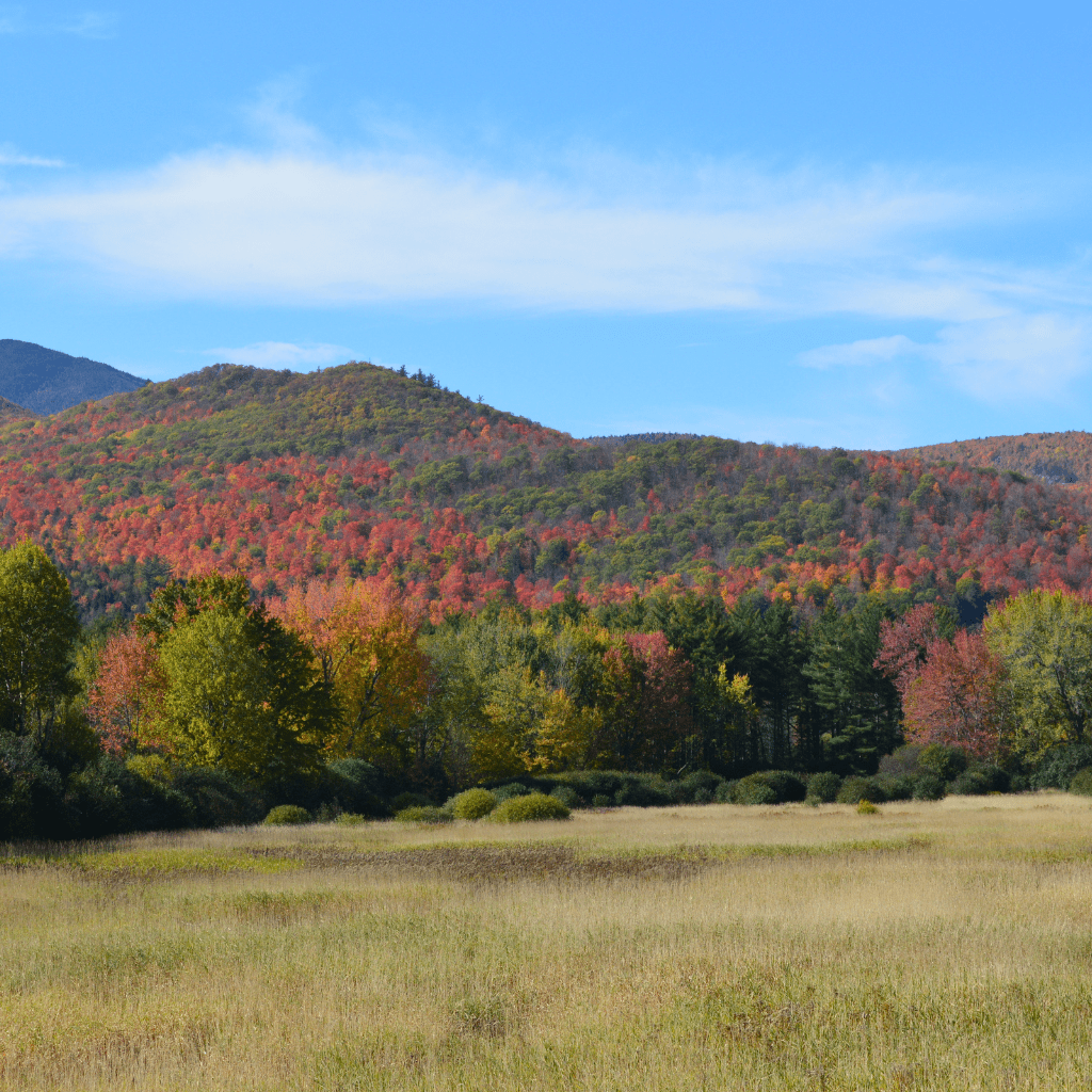 Fall foliage - Keene lookout