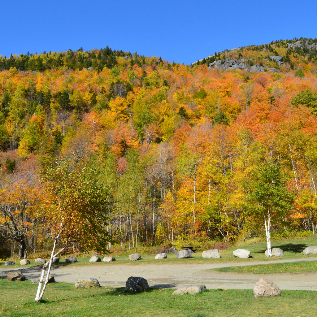 fall foliage - cascades