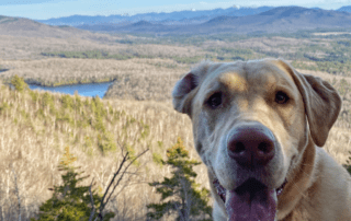 Dog Friendly Trails in Lake Placid