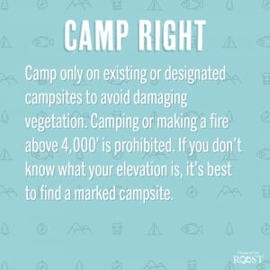 camp right