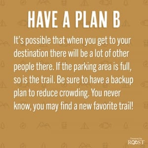 Have a plan b