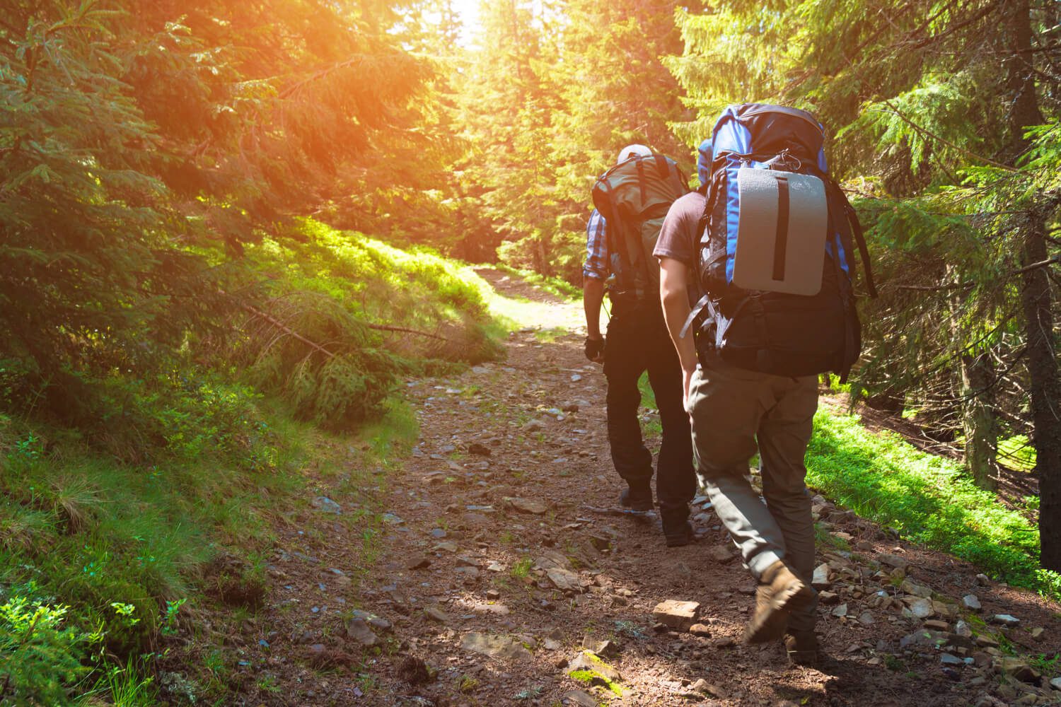 Two avid adventures test their endurance on a rugged Lake Placid hiking trail.