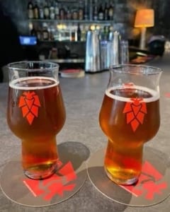 two beers from Big Slide Brewery