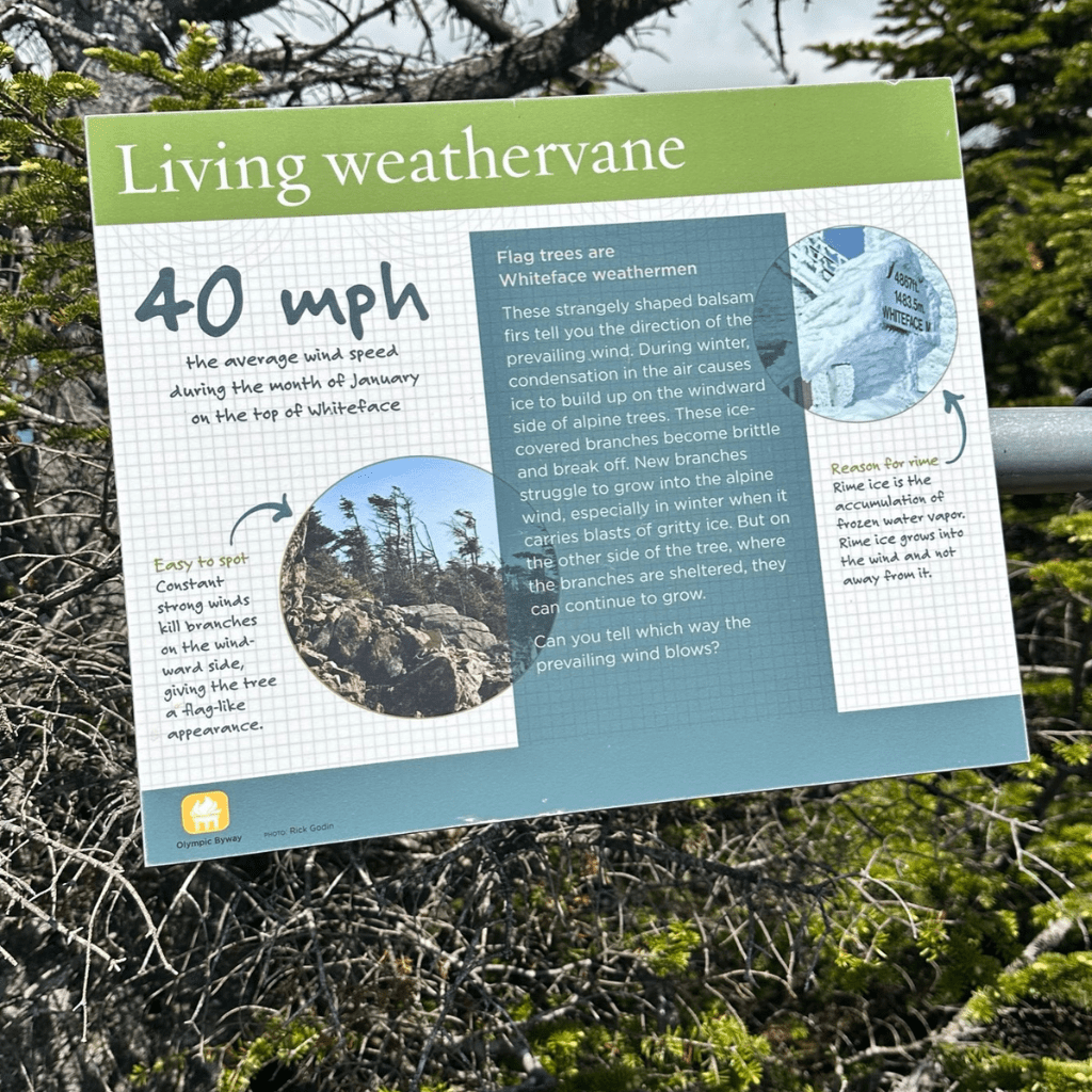 Informational signs on Whiteface Memorial Highway