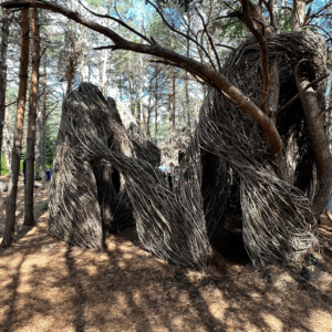 Take a walk on the wild side and visit Stickwork at the Wild Center