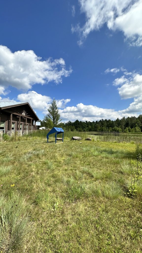 Take a Walk on the Wild Side at the Wild Center​ - Giant Sunglasses