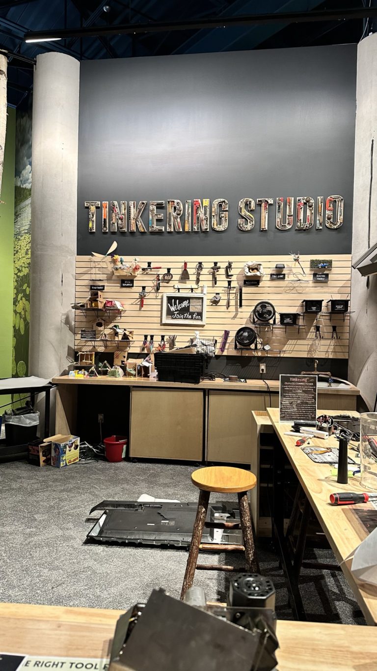 Take a Walk on the Wild Side at the Wild Center​ - Tinkering Studio