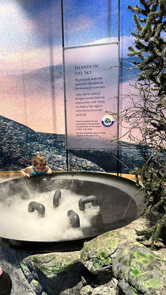 Take a Walk on the Wild Side at the Wild Center​ - touch a cloud