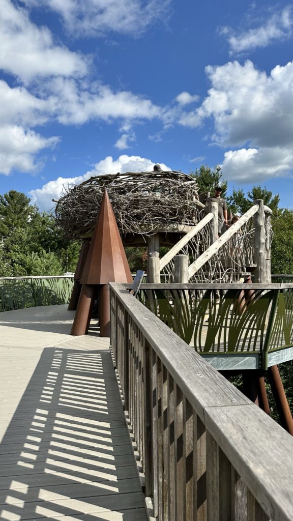 Take a Walk on the Wild Side at the Wild Center​ - The Eagle's Nest