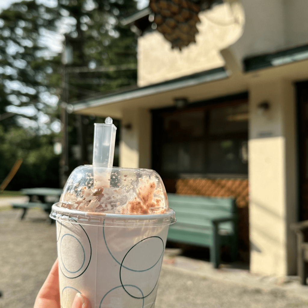 Pine Cone - part of the ice cream trail
