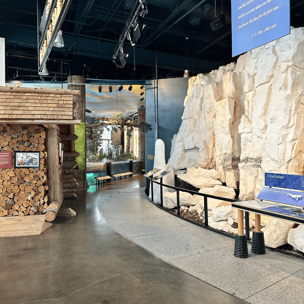 Take a Walk on the Wild Side at the Wild Center​