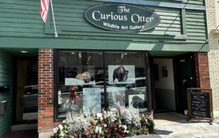 The Curious Otter on Main Street