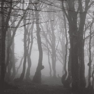 Celebrate Spooky Season by exploring the Haunted Adirondack Trail.