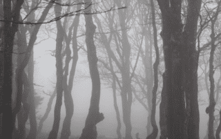 Celebrate Spooky Season by exploring the Haunted Adirondack Trail.